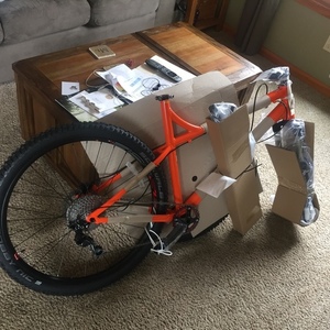 2016 Raleigh Tokul 3 Orange
