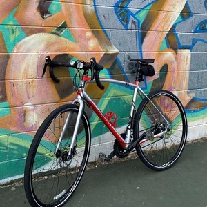 2015 Raleigh Willard 2 Red and White