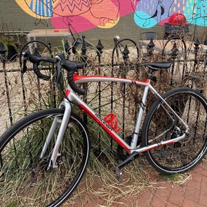 2015 Raleigh Willard 2 Red and White