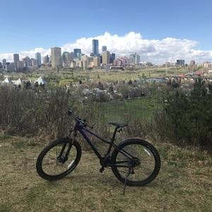 2020 Giant Liv Women's Tempt 2 Bike - Violet Purple