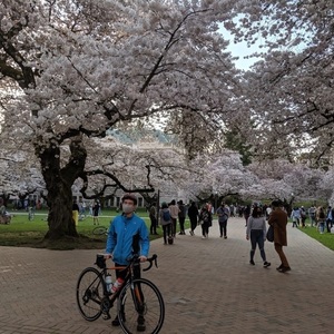 2017 Raleigh Merit Comp Black