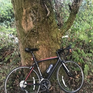 2017 Bianchi Via Nirone 7 Black, Red, and Stickers tape or other cover-up