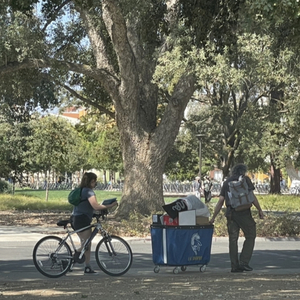 2015 Schwinn S5190TR Silver, gray or bare metal