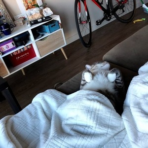 2011 Specialized CruX Comp Apex Red, Black, and White