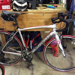 2014 Specialized Roubaix SL4 Expert Silver or Gray