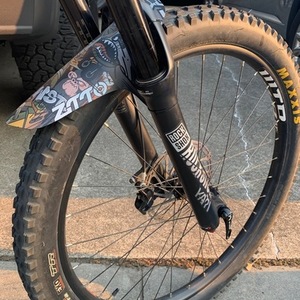 2019 Santa Cruz Bronson Silver, gray or bare metal
