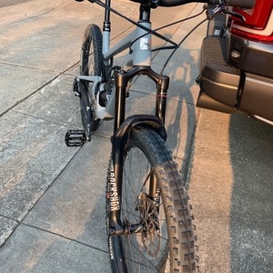 2019 Santa Cruz Bronson Silver, gray or bare metal
