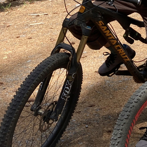 Santa Cruz Bronson Black