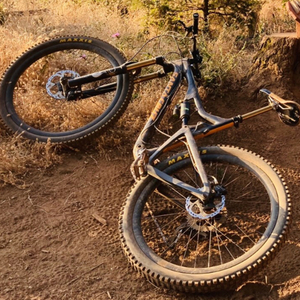 Santa Cruz Bronson Black