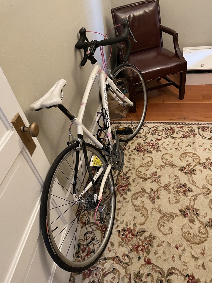 2008 Specialized Dolce