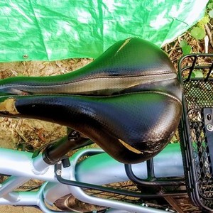 2021 Lectric eBikes L Blue