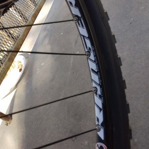 Trek Marlin Single Speed White