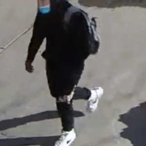 2020 Specialized Turbo Levo SL Red