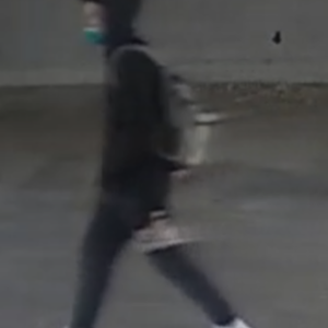 2020 Specialized Turbo Levo SL Red