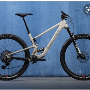 2021 Santa Cruz Tall boy White