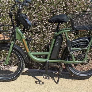 2021 Rad Power Bikes RadRunner 2 Green