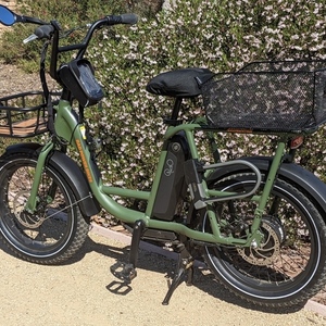 2021 Rad Power Bikes RadRunner 2 Green