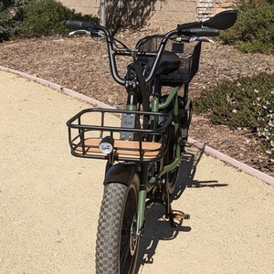 2021 Rad Power Bikes RadRunner 2 Green