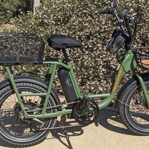 2021 Rad Power Bikes RadRunner 2 Green