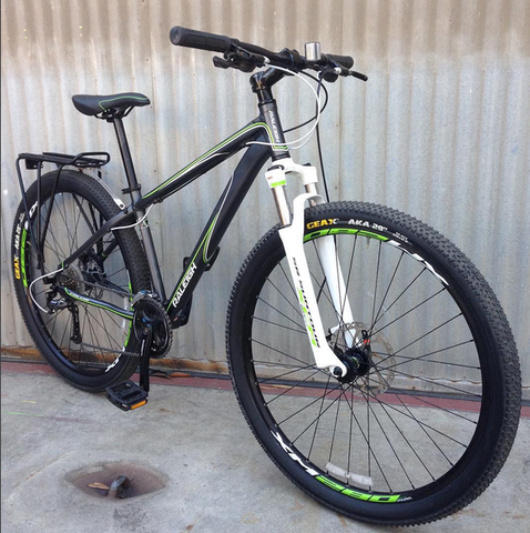raleigh talus 29 for sale