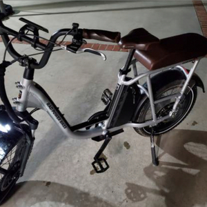 2021 Rad Power Bikes Radrunner Plus Silver, gray or bare metal