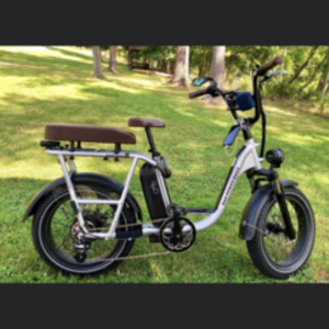 2021 Rad Power Bikes Radrunner Plus Silver, gray or bare metal