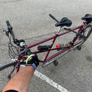 Santana Cycles Visa (Tandem) Purple