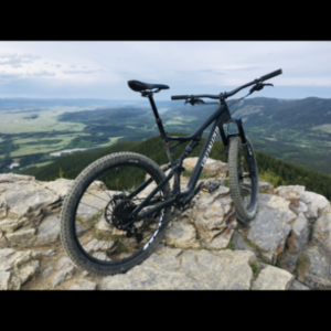 2018 Specialized Stumpjumper alloy Black