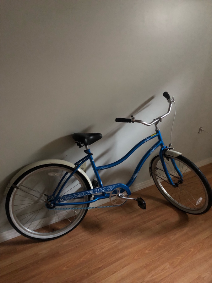 sims charm cruiser bike