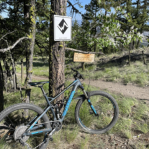 2019 Marin Bikes Hawk hill Blue