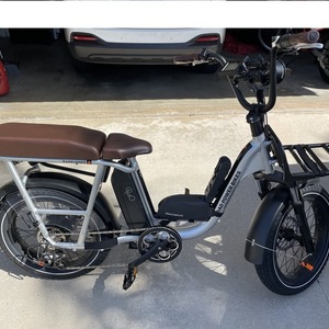 2021 Rad Power Bikes Rad Runner Plus Silver, gray or bare metal and Black