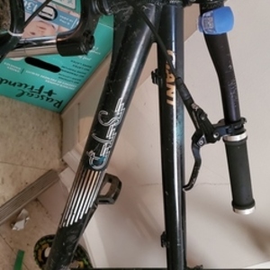 Giant STP Black and White