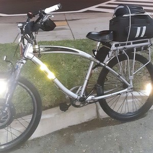 2018 Nirve Cruiser Silver, gray or bare metal
