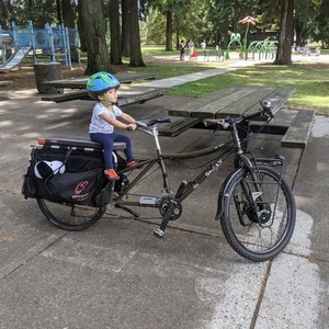 2008 Surly Big Dummy cargo bike (rear storage) Green