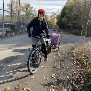 2008 Surly Big Dummy cargo bike (rear storage) Green