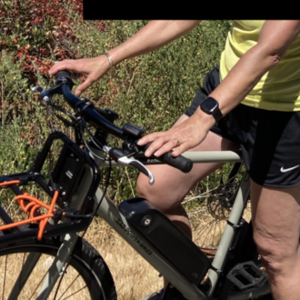 2021 Rad Power Bikes Rad Mission 1 Silver, gray or bare metal