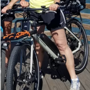 2021 Rad Power Bikes Rad Mission 1 Silver, gray or bare metal