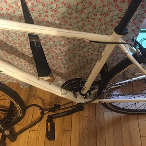 2016 Liv Alight 2 White