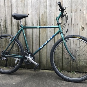 1992 Giant Iguana Green
