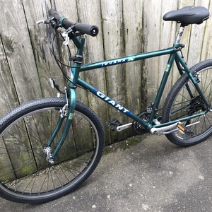 1992 Giant Iguana Green