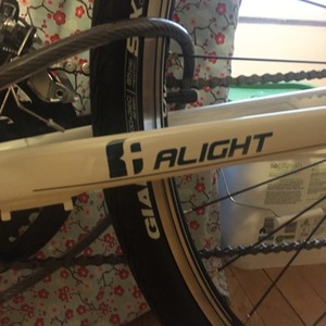 2016 Liv Alight 2 White