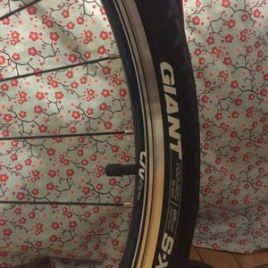 2016 Liv Alight 2 White