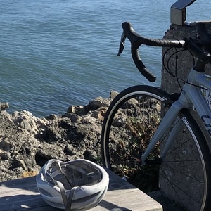 2021 Giant Avail 3 Silver, gray or bare metal