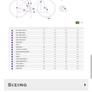 2021 Giant Avail 3 Silver, gray or bare metal