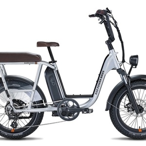 2020 Rad Power Bikes 6061 Aluminum Frame Silver, gray or bare metal
