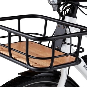 2020 Rad Power Bikes 6061 Aluminum Frame Silver, gray or bare metal