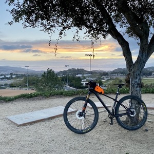 2020 Trek procaliber Black