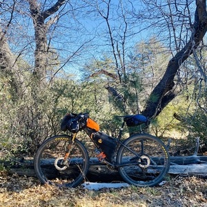 2020 Trek procaliber Black