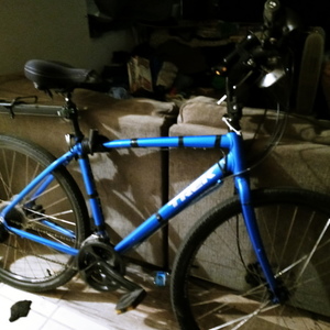 Trek Verve2 Blue
