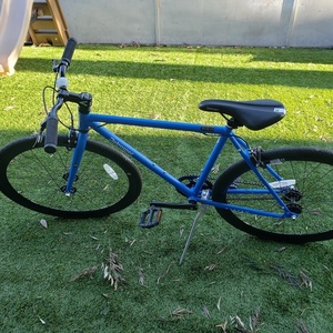 2020 Retrospec mantra Blue